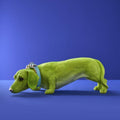 Chien Teckel Wilfried M. Collier, Résine Poly Verte