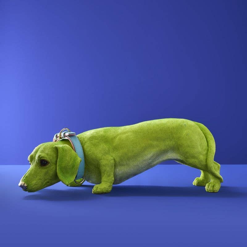 Chien Teckel Wilfried M. Collier, Résine poly verte