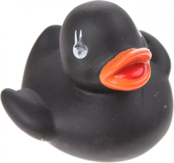 Petit Canard de Bain Noir