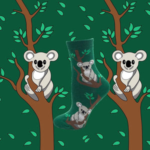 Chaussettes Koala