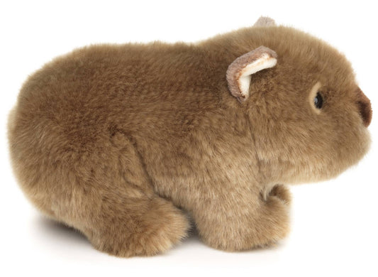 Peluche Wombat