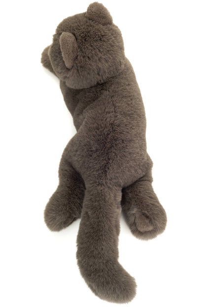 Plush Chartreux Cat lying down