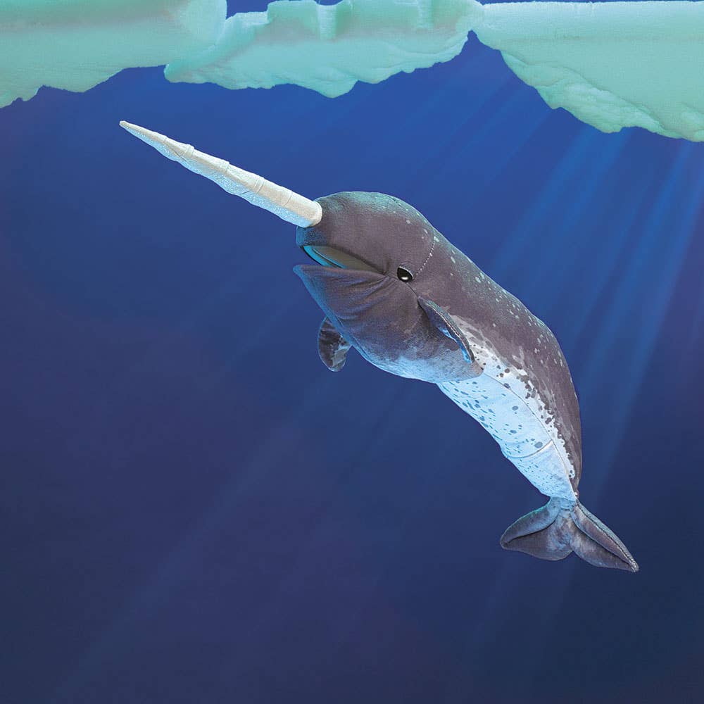 Marionnette à main Narwhal 3105/ Narwhal Folkmanis réaliste