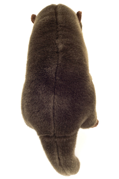 Peluche Loutre