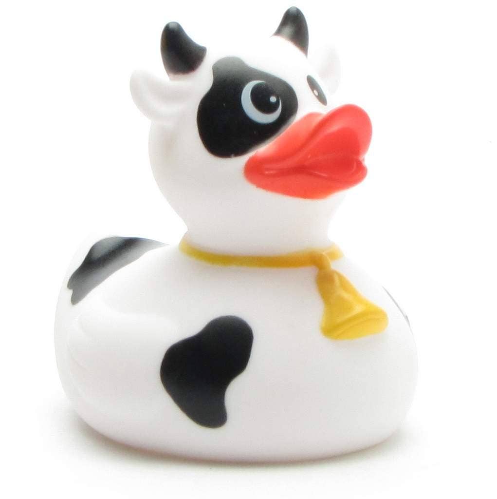 Black and white cow duck