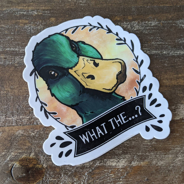 Autocollant Canard Colvert “What the…?”