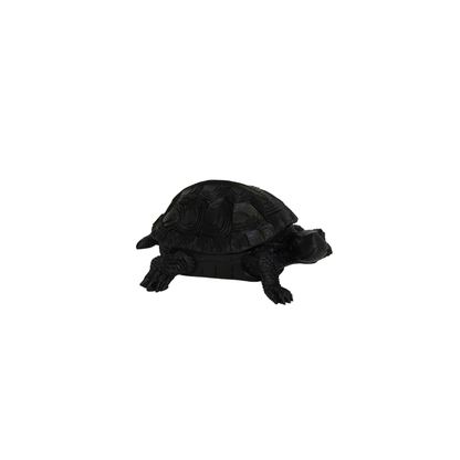 Boîte Tortue - Noir