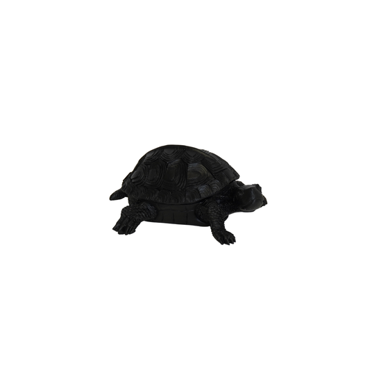Boîte Tortue - Noir