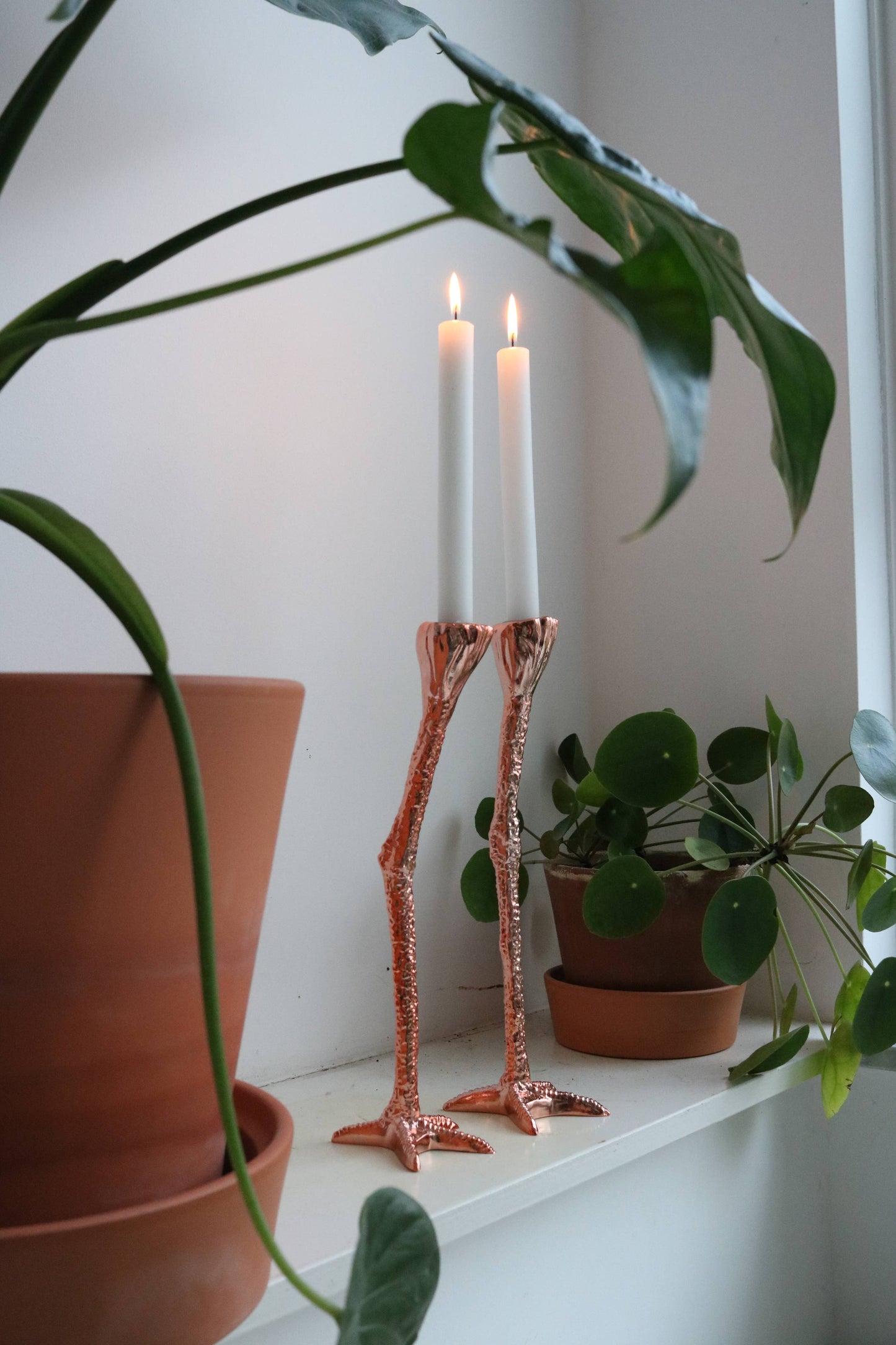 Jambes longues Doré – Jasmin Djerzic – Doré – vue 17