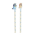 Ensemble Crayon et Gomme Bluey