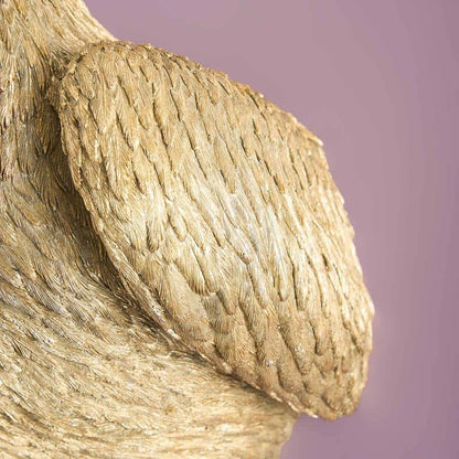 Candeeiro de parede Pelican (Pelican ou)