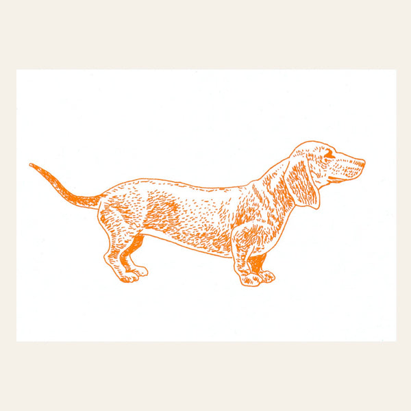 Cartolina con bassotto arancione neon