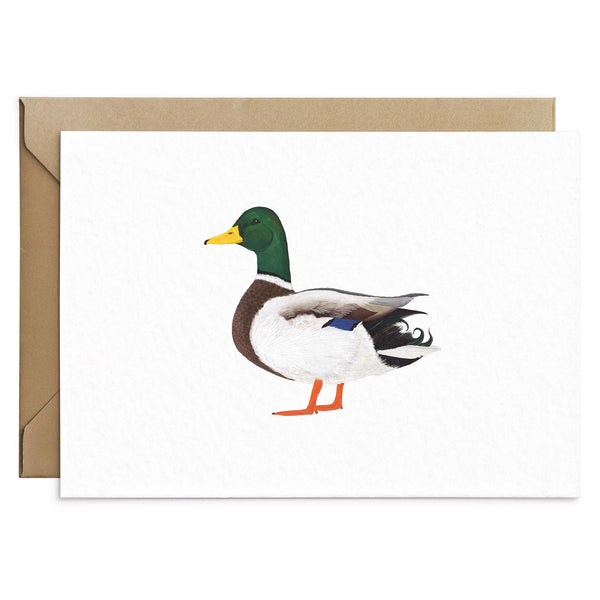 Biglietto d'auguri con anatra selvatica