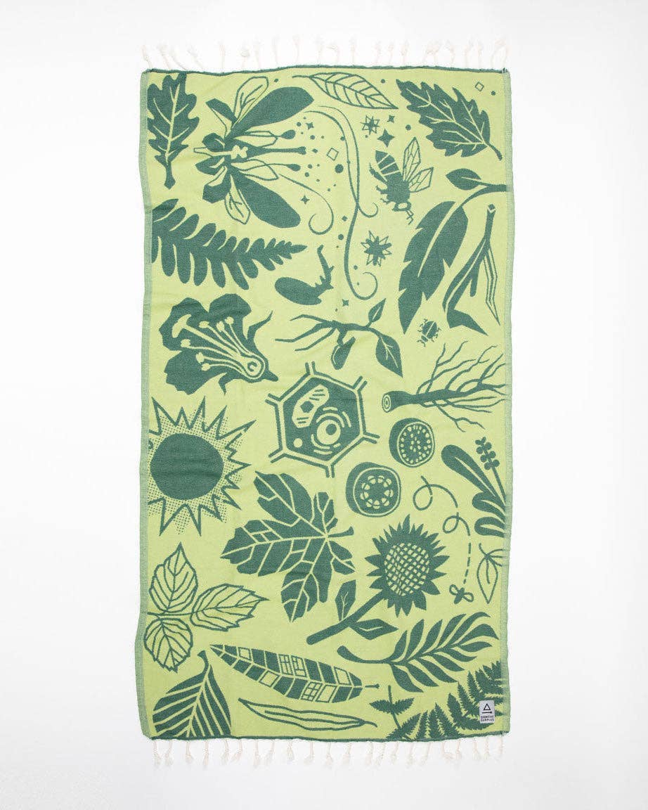 Sonhos Botânicos de Fouta
