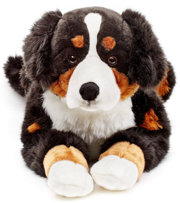 Peluche bouvier bernois couché Uni Toys