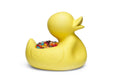 Mr. Ugly Duckling® 