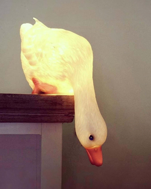 Lampe Canard regardant vers le bas