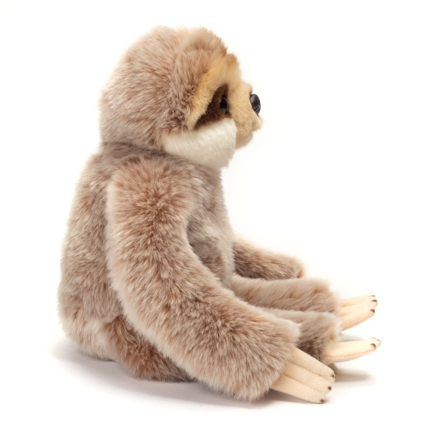 Peluche bradipo