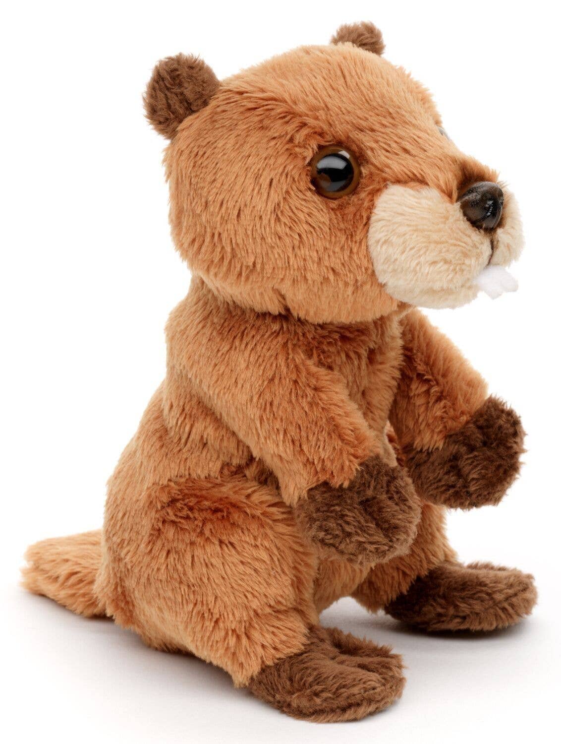 Peluche Groundhog Assis