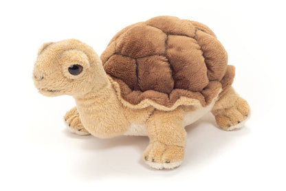 Knuffelschildpad