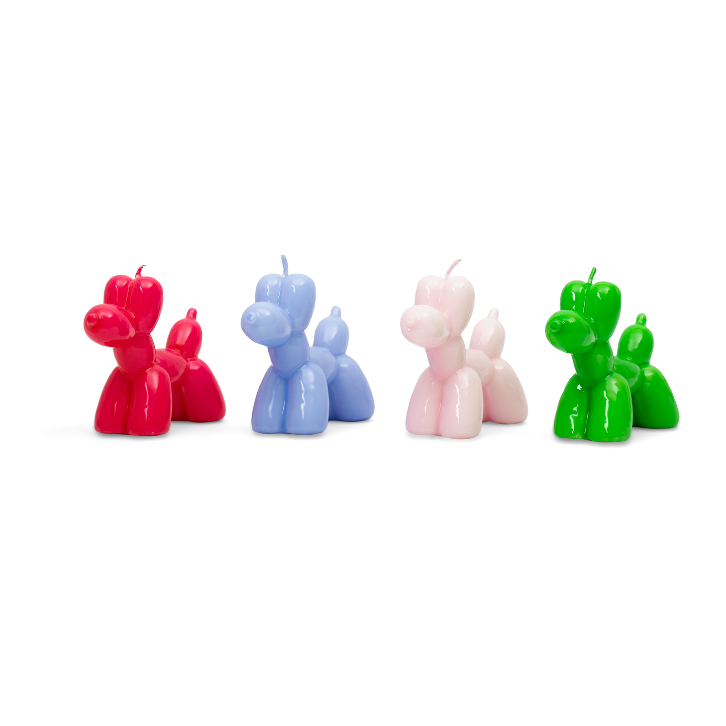 Vela de perro globo magenta