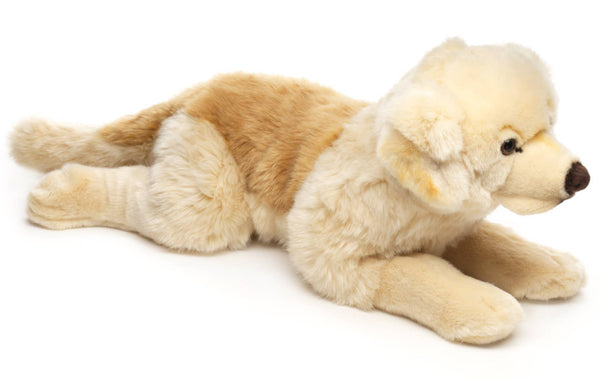 Peluche Golden Retriever couché Uni Toys