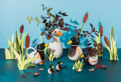Vase Canard Colvert