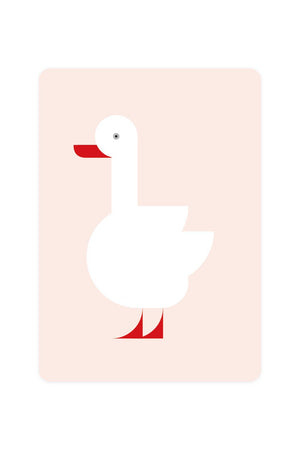 Carte Postale avec Cygne Coscoroba