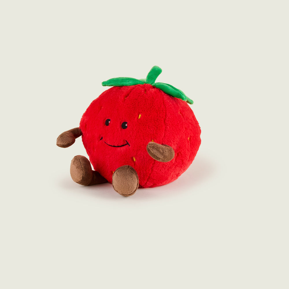 Fraise Bouillotte Warmies