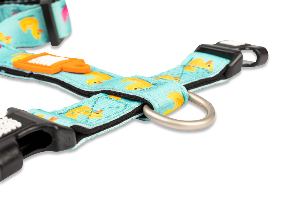 H-Harness - Ducks