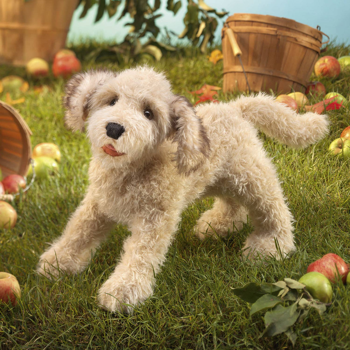 Labradoodle handpop