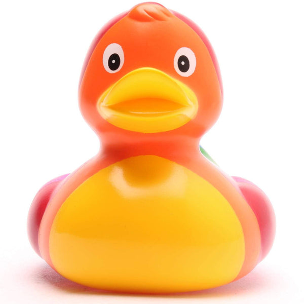 Canard Arc-en-ciel