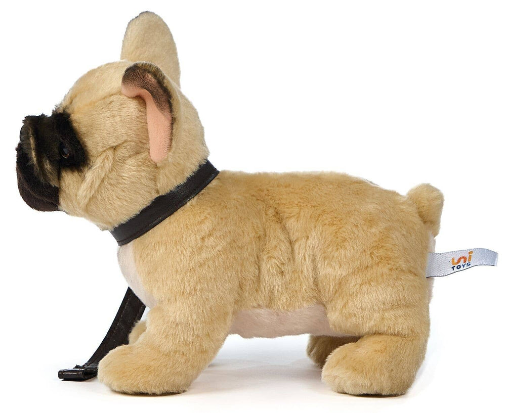 Peluche Bouledogue Français (Beige) - Avec Laisse - 26 cm (Longueur)