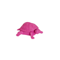 Boîte Tortue - Rose Néon