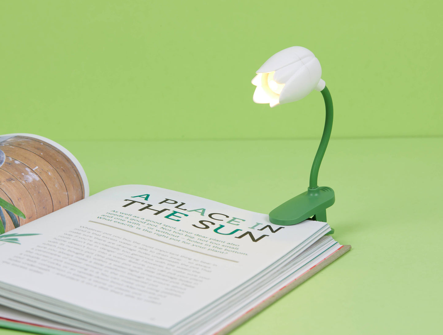 Lumière de lecture Tulipe Blanc