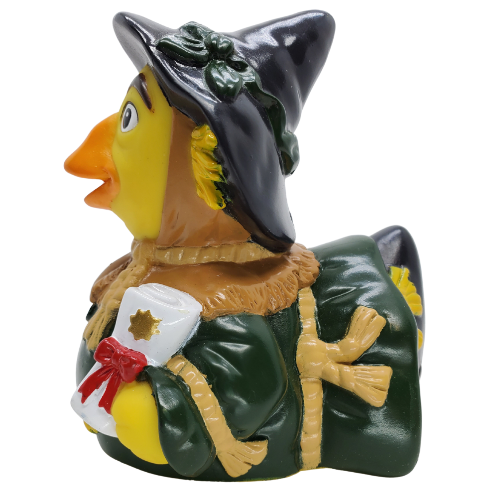 Pato espantapájaros