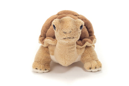 Knuffelschildpad