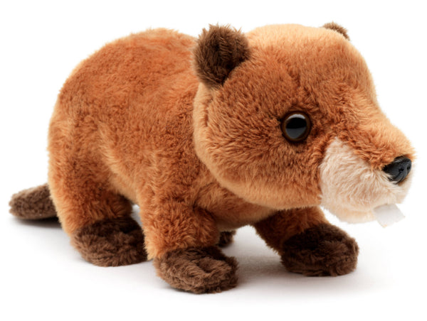 Peluche de castor - 20 cm (longueur) - peluche Uni Toys