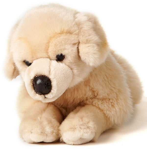 Peluche golden retriever couché Uni Toys
