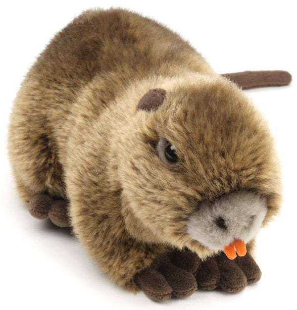 Nutria - 21 cm (longueur) - peluche Uni Toys