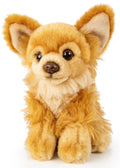 Peluche Chihuahua Marron Assis