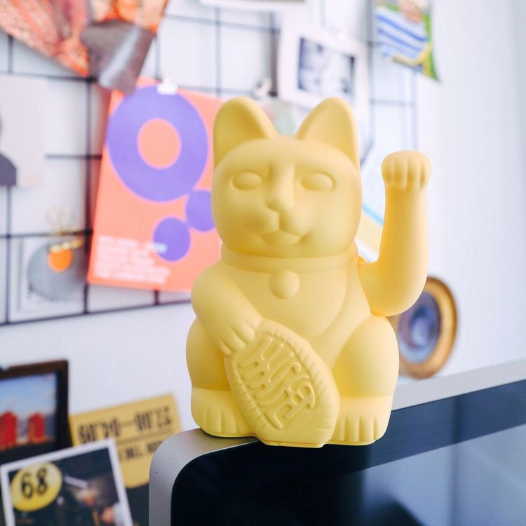 Lucky yellow cat