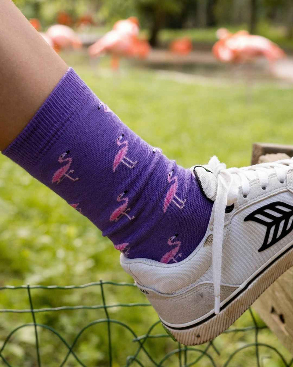 Chaussettes « Flamants Roses »