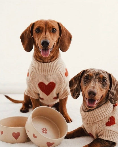 Cozy Hearts Stoneware Pet Bowl 14cm 2 Pieces Set