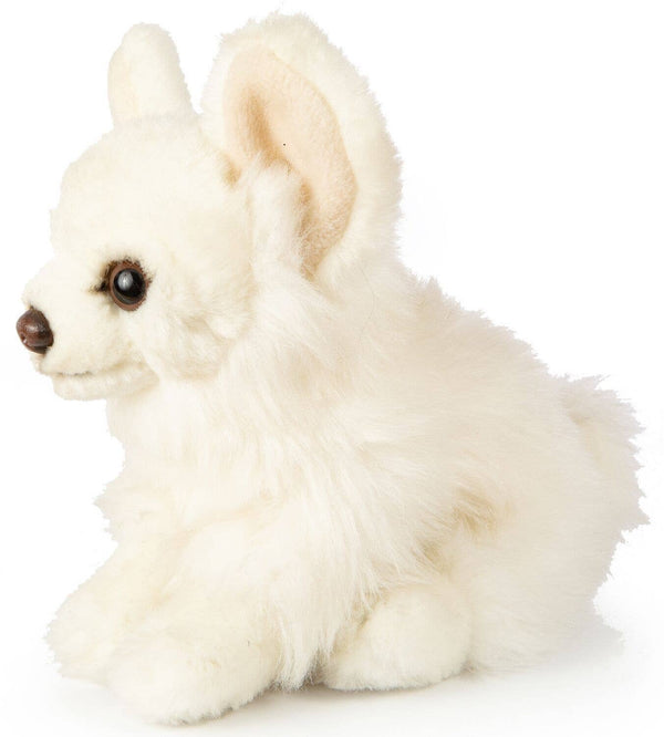 Peluche chihuahua blanc assis Uni Toys