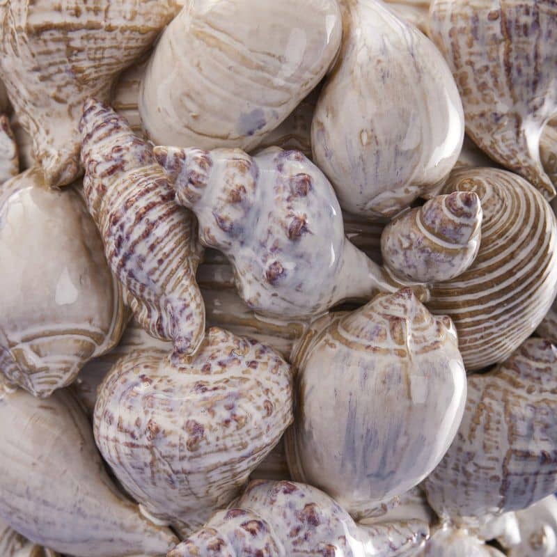 Vase Coquillages, Grès Naturel M