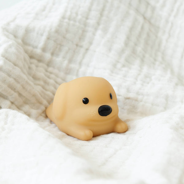 Mini luz de presença para cão