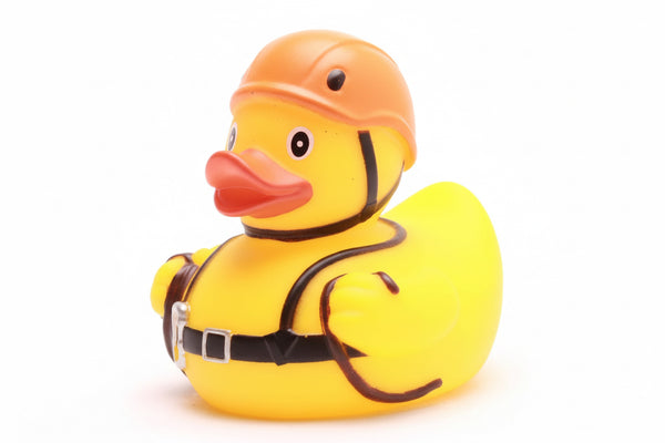 Canard Alpiniste