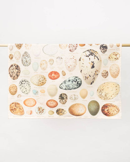 Torchons à œufs – produit scientifique Cognitive Surplus EU, vue 2