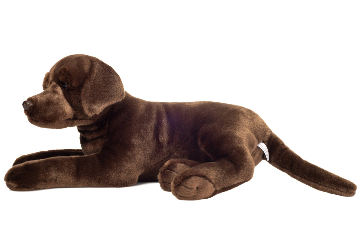 Chocoladebruine Labrador-knuffel die ligt.
